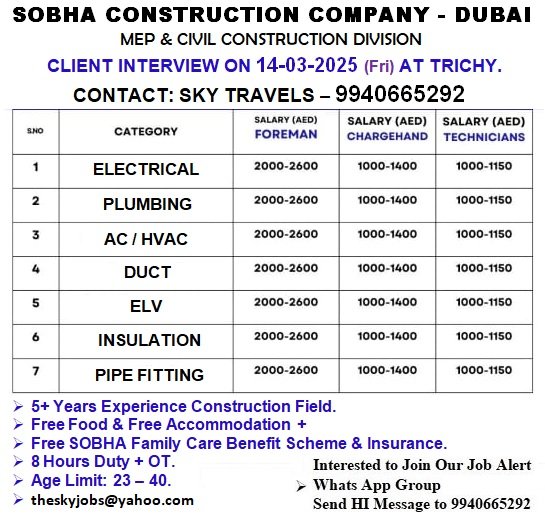 theskyjobs