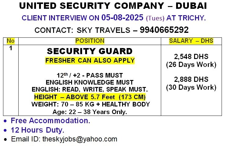 theskyjobs