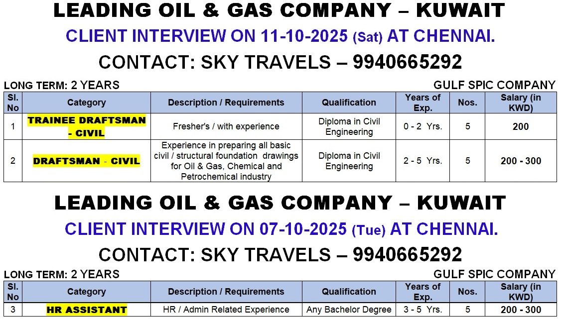 theskyjobs