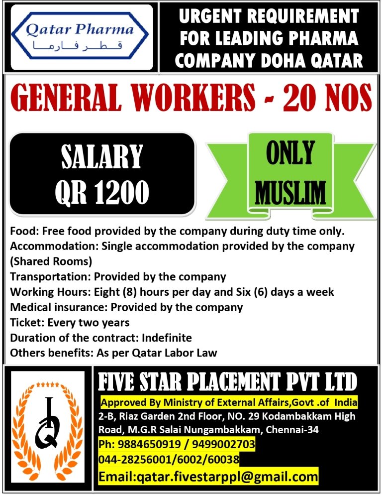 resumes.fivestarplacement